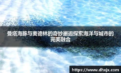 b-sports必一运动