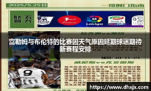 富勒姆与布伦特的比赛因天气原因延期球迷期待新赛程安排